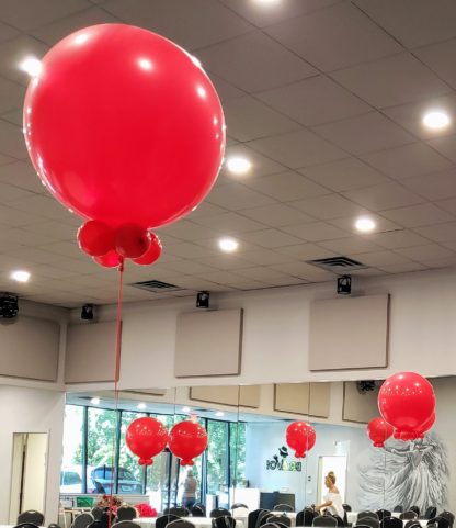 24 inch helium red